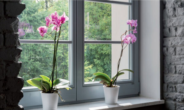 Termomodernizację domu warto zacząć od wymiany okien